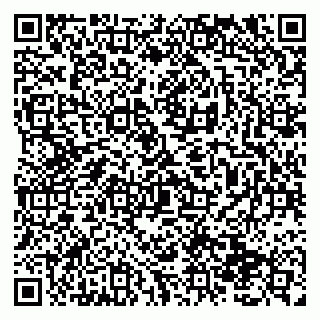 vCard 79138291355