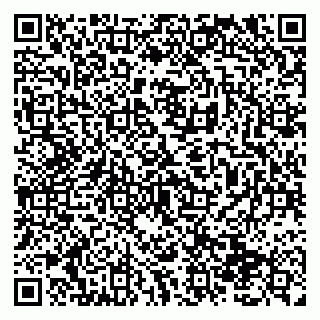 vCard 79138291365