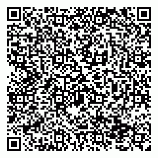 vCard 79138291370