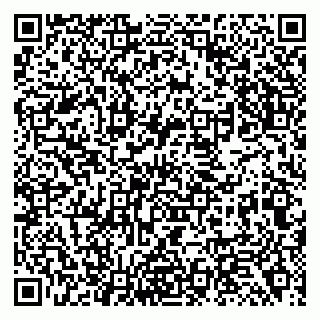 vCard 79138291371