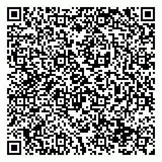 vCard 79138291372