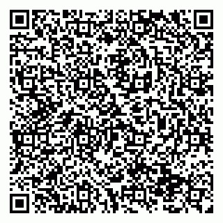 vCard 79138291374