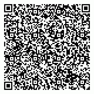 vCard 79138291377