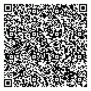 vCard 79138291379
