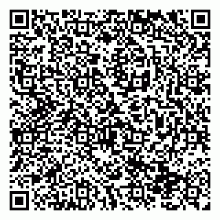 vCard 79138291380