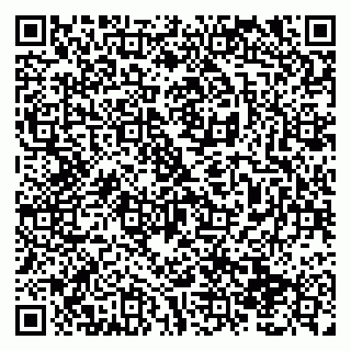 vCard 79138291382