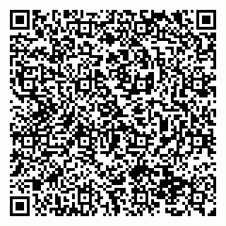 vCard 79138291383