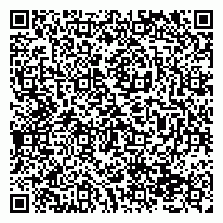 vCard 79138291384
