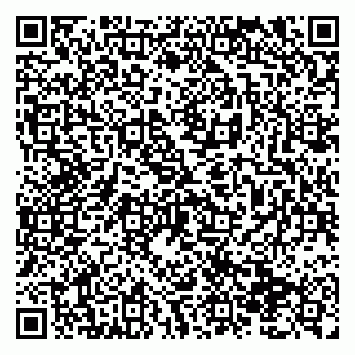 vCard 79138291385