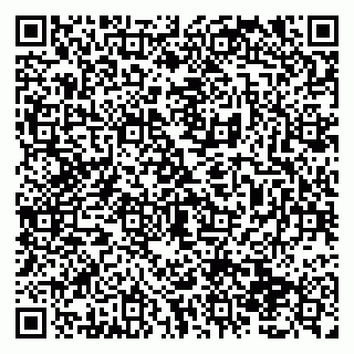 vCard 79138291386