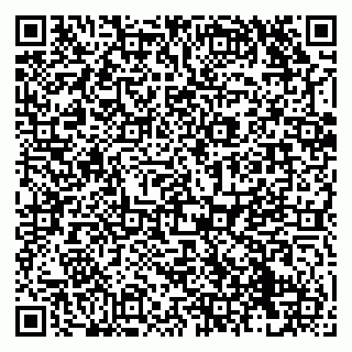 vCard 79138291387