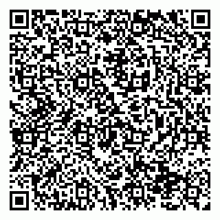 vCard 79138291389