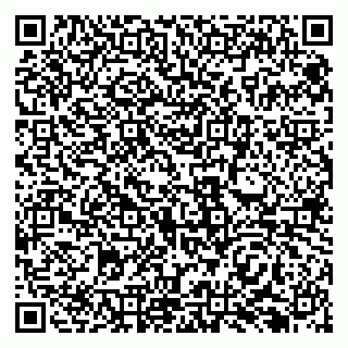vCard 79138291391