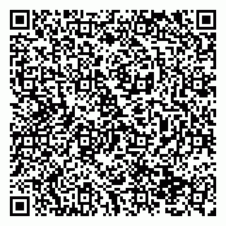 vCard 79138291393