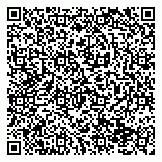 vCard 79138291395