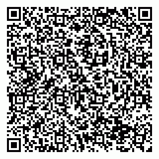 vCard 79138291398