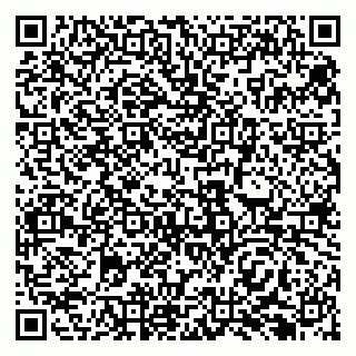 vCard 79138291399