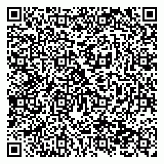 vCard 79138291502