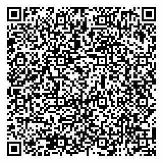 vCard 79138291503