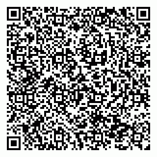 vCard 79138291985