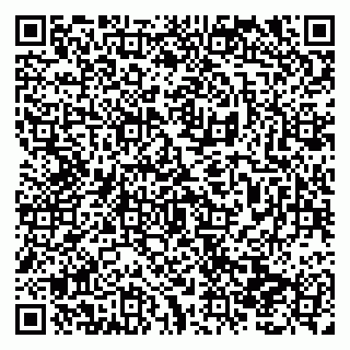 vCard 79138291998