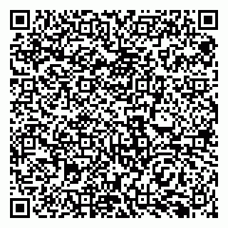 vCard 79138292001