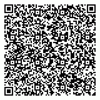 vCard 79138292002