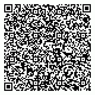 vCard 79138292003