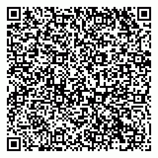 vCard 79138292004