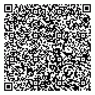 vCard 79138292005
