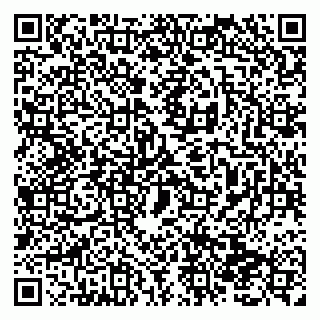 vCard 79138292173