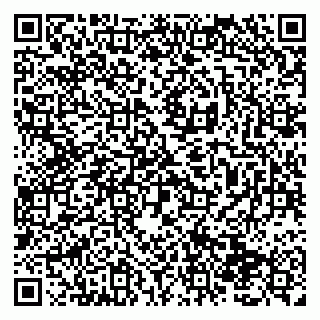 vCard 79138292385