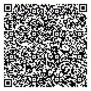 vCard 79138292995