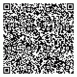 vCard 79138293000