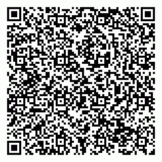 vCard 79138293003