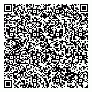 vCard 79138293100