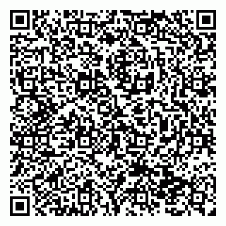 vCard 79138293102