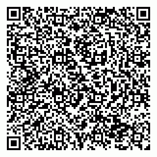 vCard 79138293103