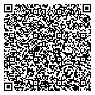vCard 79138293104