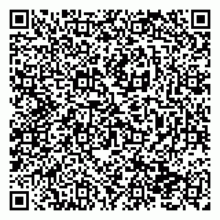 vCard 79138293111