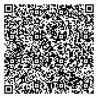 vCard 79138293113