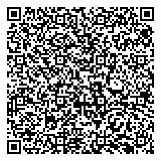 vCard 79138293115