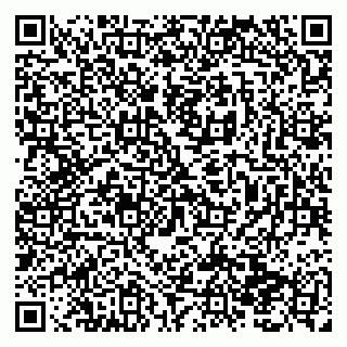 vCard 79138293117