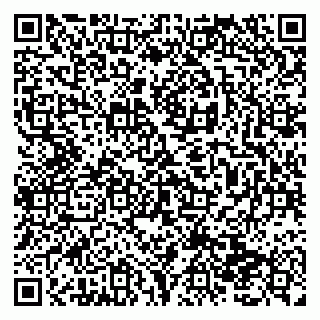 vCard 79138293124