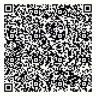 vCard 79138293131