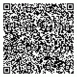 vCard 79138293133
