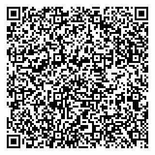 vCard 79138293137