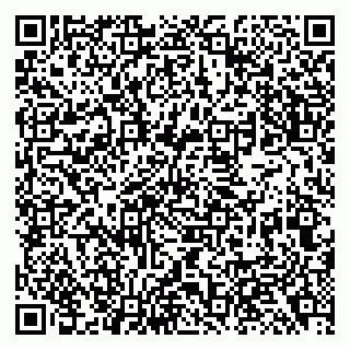 vCard 79138293138