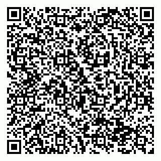 vCard 79138293141