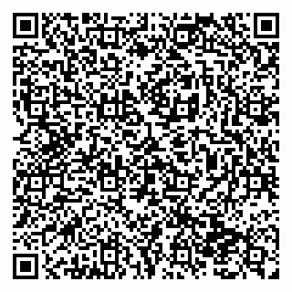 vCard 79138293145